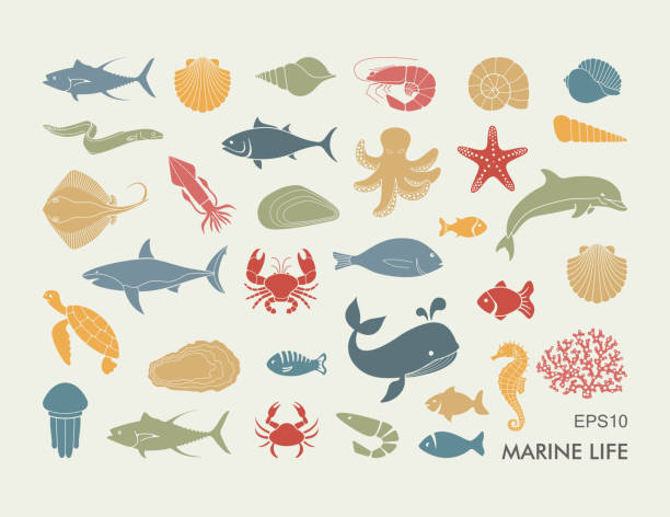 illustrations, cliparts, dessins animés et icônes de silhouettes des habitants de la mer. illustration à plat de vecteur - starfish underwater sea fish
