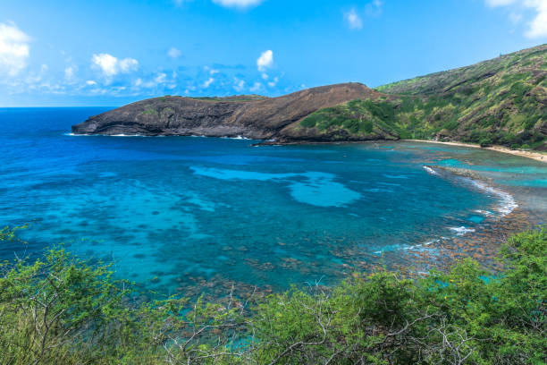 istock Hanauma Bay in Oahu, Hawaii 1133374875