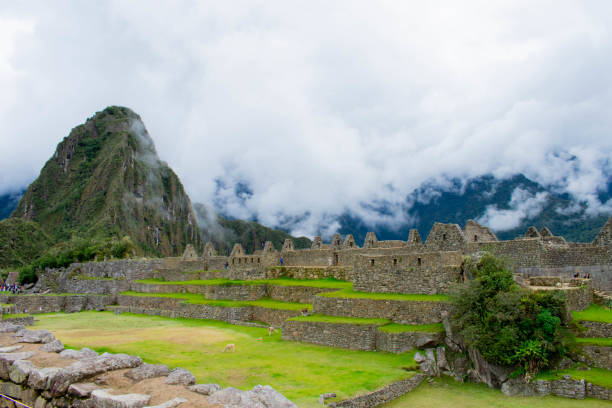 Inca city, Machu Picchu, Peru, 02/08/2019 Inca city, Machu Picchu, Peru, 02/08/2019 ruína antiga stock pictures, royalty-free photos & images