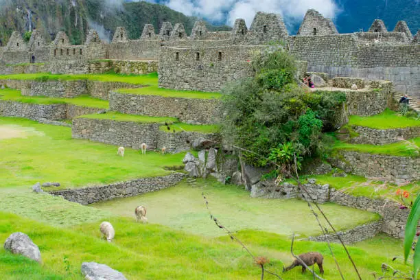 Archaeological site, Machu Picchu, Urubamba, Peru, 02/08/2019