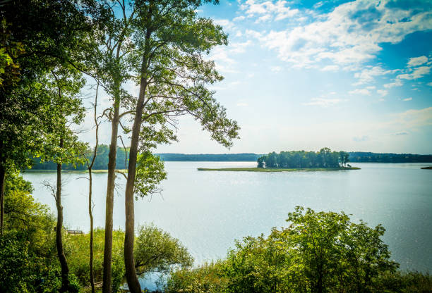 istock Landscape with a lake with green blooming trees on a clear sunny day. 1133376579