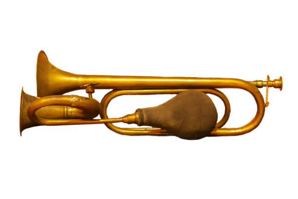 istock Antique Brass Horn With Rubber Bulb 1133377757