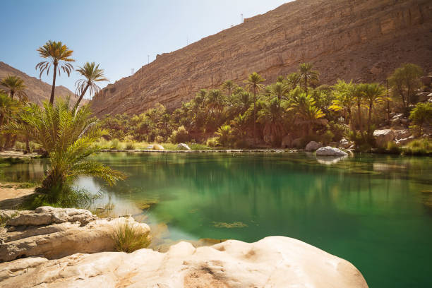 erstaunliche see und oase mit palmen (wadi bani khalid) in der omanischen wüste - flussbett stock-fotos und bilder