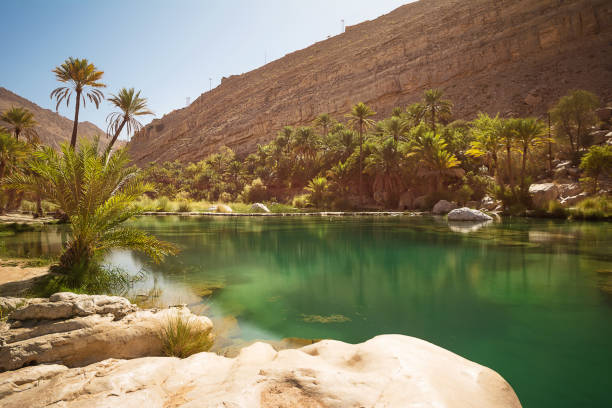 lago surpreendente e oásis com palmeiras (wadi bani khalid) no deserto de omani - mountain valley river water - fotografias e filmes do acervo