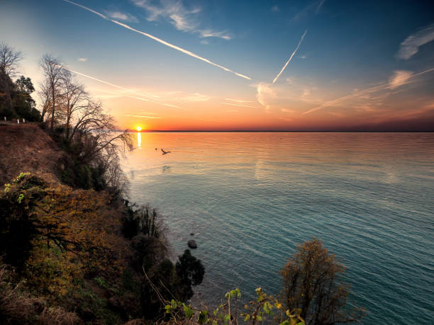 istock Batum botanical park and coast 1133379365