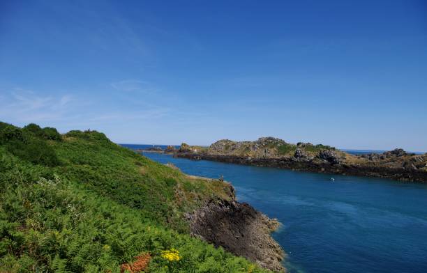 istock Pointe du Grouin in Cancale 1133382220