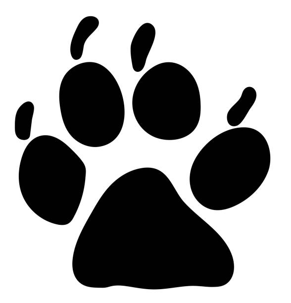 istock Paw print of a large dog, with claws, uneven with saving natural lines, eps 10 vector illustration 1133382338
