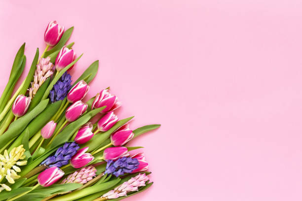 istock Spring flowers bouquet on pink background. Top view, copy space. Greeting card. 1133382457