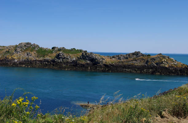 istock Pointe du Grouin in Cancale 1133382724