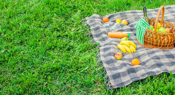 istock Plaid for a picnic on the grass. Selective focus. 1133382923