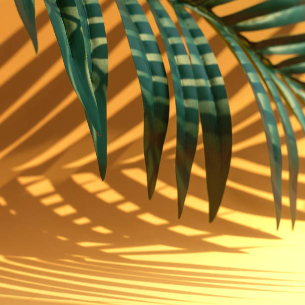 istock Selective focus of exotic coconut leaf with shadow on color background.Tropical and holiday summer concepts ideas 1133385796