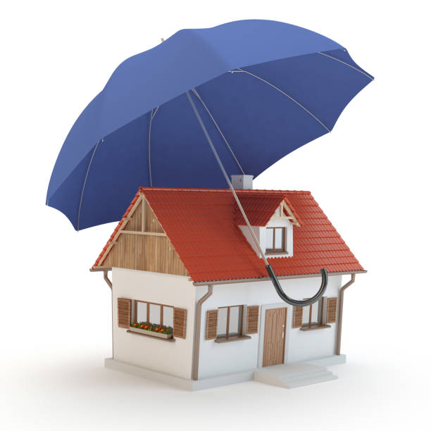 istock House and umbrella, 3D illustration 1133385982