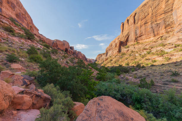 istock Scenic Utah Desert Landscape 1133386656