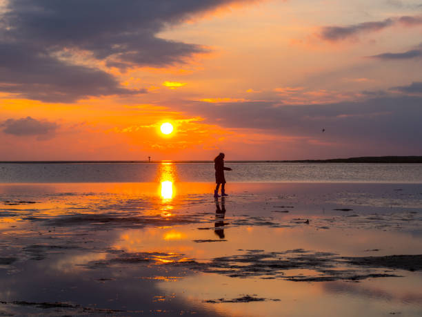 istock Silhouette on the Wadden Sea 1133389834