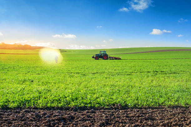 istock Farmer at work in a beautiful countryside 1133391248