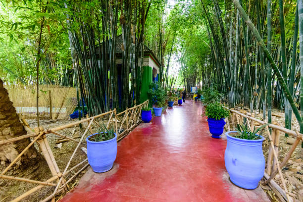 マジョレル庭園 - morocco majorelle gardens formal garden islam ストックフォトと画像