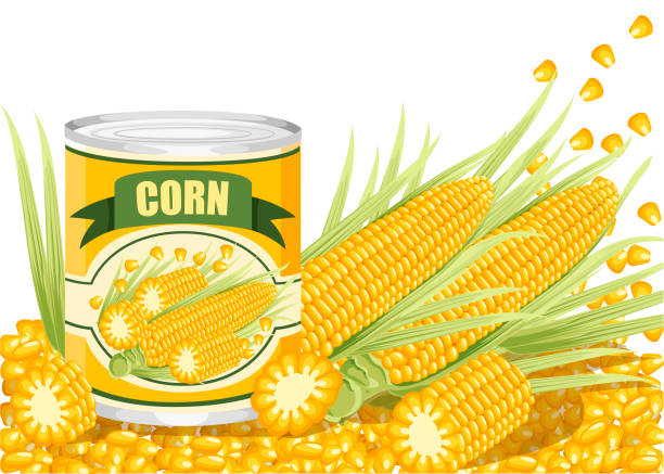 ilustrações de stock, clip art, desenhos animados e ícones de corn in aluminum can. canned sweet corn with corn cob logo. product for supermarket and shop. flat vector illustration on white background - corn on the cob corn corn crop white background