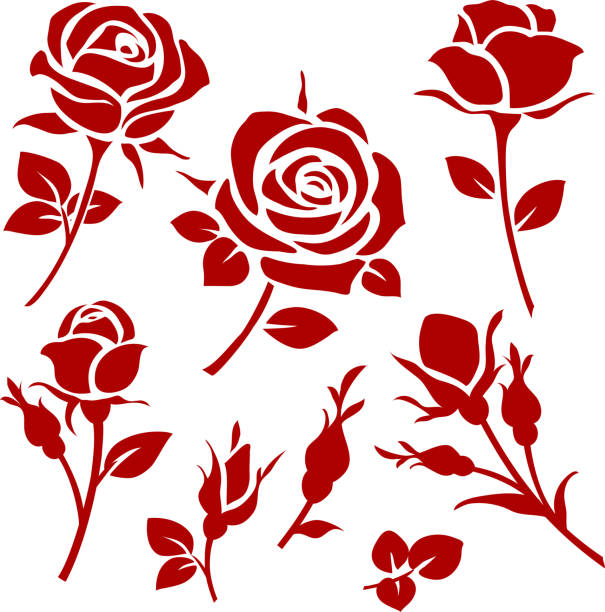 Vector rose icon. Spring decorative flower and bud silhouette vector art illustration