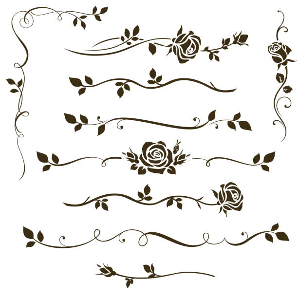 stockillustraties, clipart, cartoons en iconen met vector set van decoratieve kalligrafie elementen, bloemen verdelers, ornamenten met rose silhouetten en bladeren voor bruiloft uitnodiging ontwerp en pagina decor. - roos
