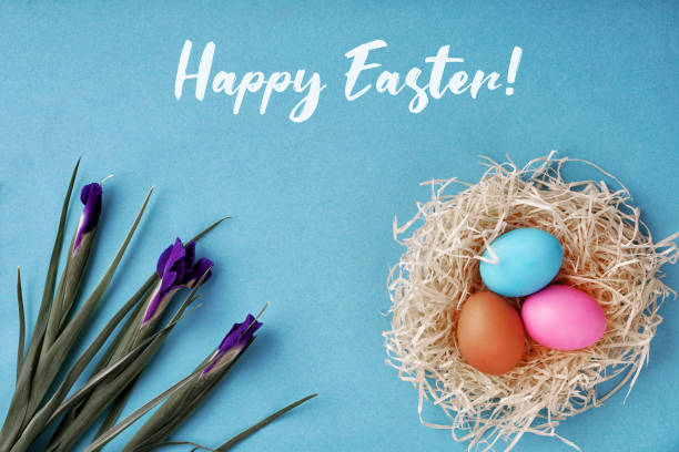 istock Greeting card happy easter colored eggs and nest. 1133394129