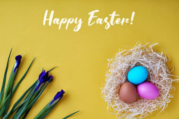 istock Greeting card happy easter colored eggs and nest. 1133394131
