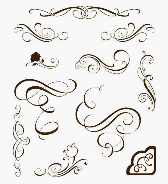 Set of decorative flourish elements. Calligraphic ornaments and borders for your design. Floral silhouettes Calligraphy design elements for page decor tracery stock illustrations