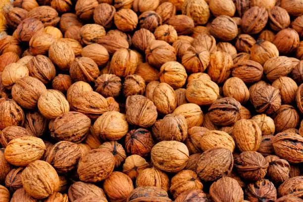 Walnuts on the pile, wallpaper