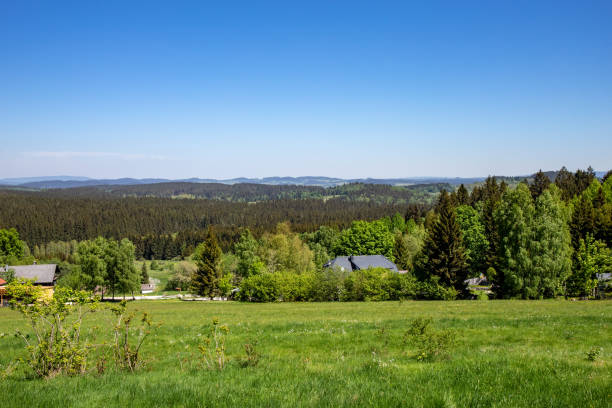istock Swim canal in the Bohemian Forest Austria 1133394485