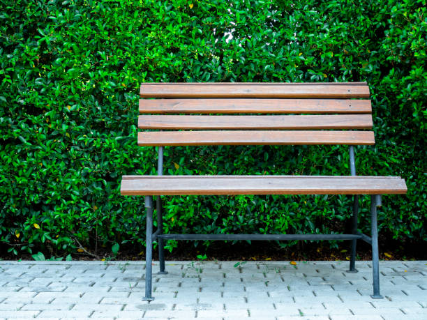 istock Wooden bench and green leaves wall background 1133396192