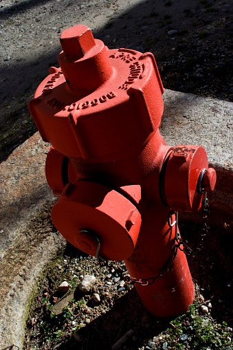 Hidrante de fuego rojo photo
