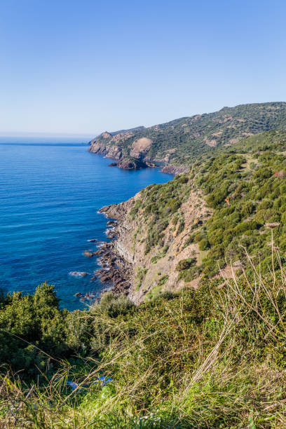istock North West coast Sardinia island. Italy 1133399241