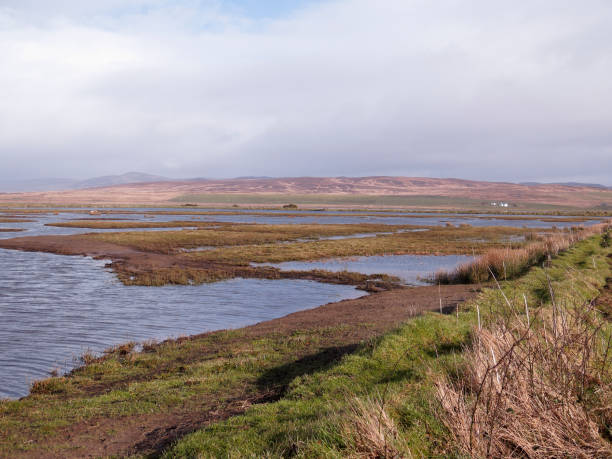 istock RSPB Gruinart Reserve 1133399477