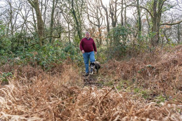 istock Senior Caucasian man in woodland 1133400199
