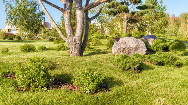 istock Landscape design in modern town close-up 1133400970