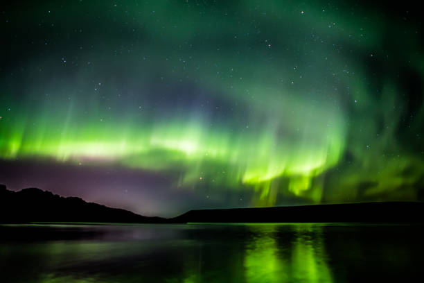 istock Green and purple northern lights 1133402344