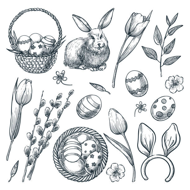 Easter eggs, basket, rabbit, willow and tulips. Vector sketch illustration. Spring holiday design elements set Easter eggs, basket, rabbit, willow and tulips flowers. Vector sketch illustration. Spring holiday design elements set. easter drawings stock illustrations