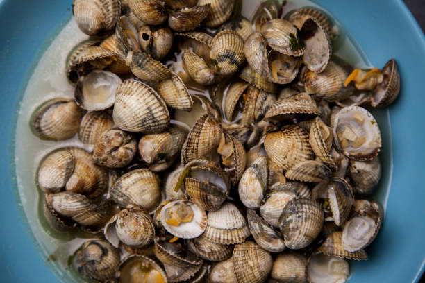 istock Cockle with white wine sauce 1133406275