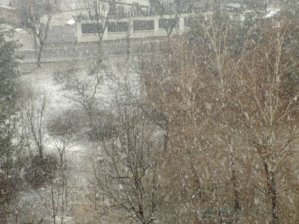 istock Snowstorm in the residential area 1133407610