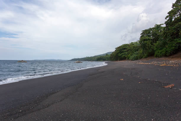 istock tangkoko park black sand 1133407643