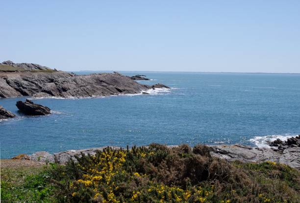 istock Wild coast of Quiberon 1133409358
