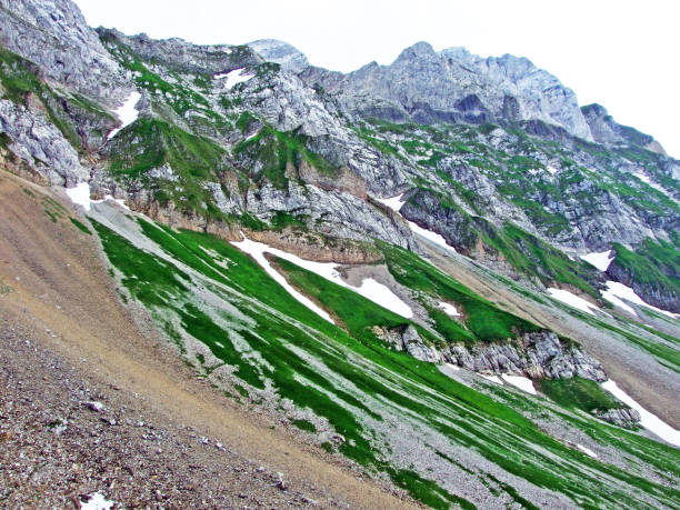 istock Stones and rocks of Alpstein mountain range 1133411142
