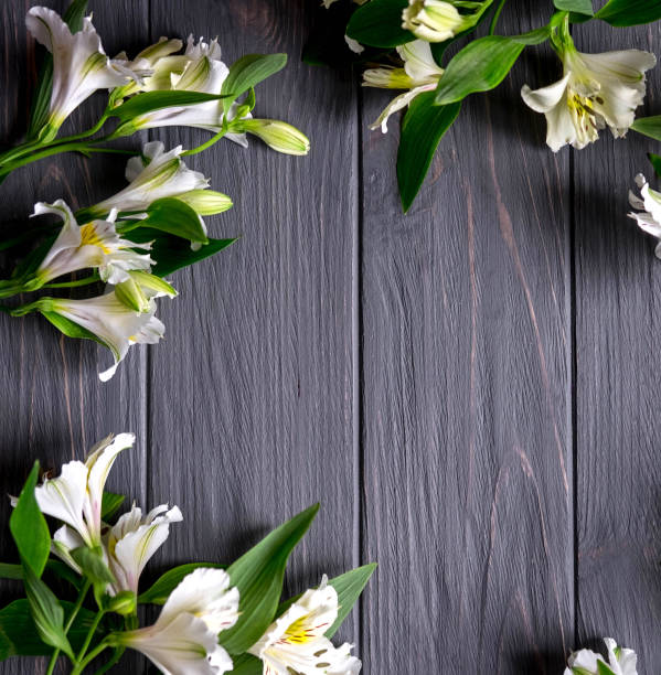 istock Background for text banner on a dark wooden background with white flowers. Blank, frame for text. Greeting card design with flowers. Aalstroemeria on wooden background. View from above 1133413194