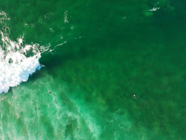 istock Aerial view from a surfer taking a wave. Drone photo. Surf Spot 1133413379