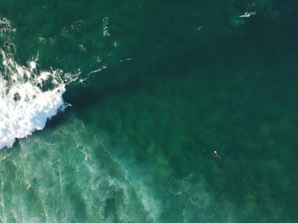 istock Aerial view from a surfer taking a wave. Drone photo. Surf Spot 1133413398