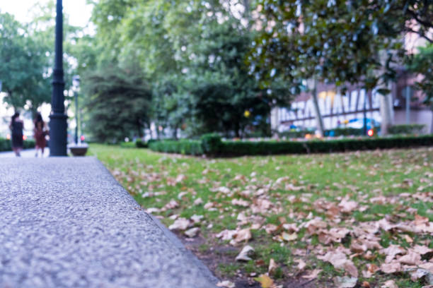 istock Close up of a park path walk with grass and leaves 1133416947