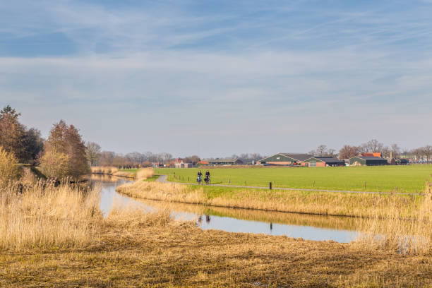 istock Dutch country side landscape 1133418177