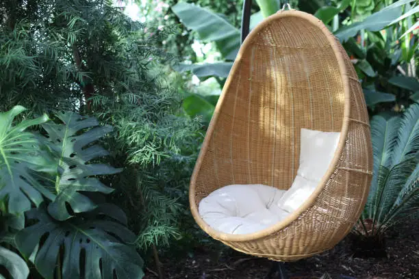 Photo of Rattan oval hanging chair witht pillow in tropical plant.