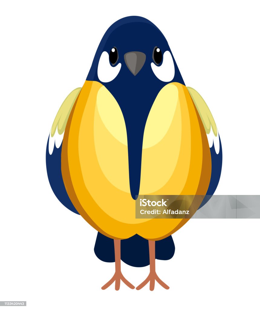 Khung Cảnh Phía Trước Của Con Chim Titmouse Đang Ngồi Thiết Kế ...