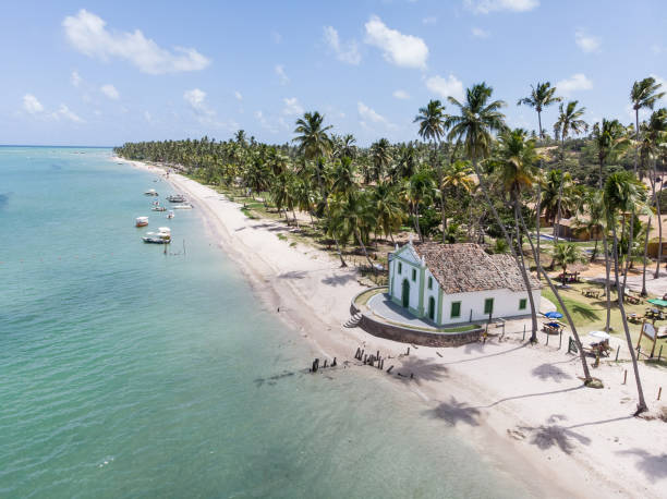 Carneiros Beach Pernambuco Brazil Carneiros Beach Pernambuco Brazil ram stock pictures, royalty-free photos & images