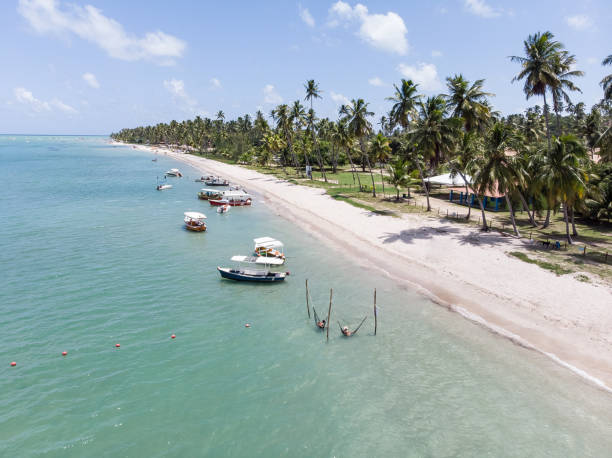 istock Carneiros Beach Pernambuco Brazil 1133422791